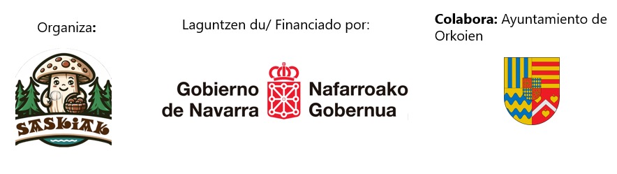 Organizadores y patrocinadores